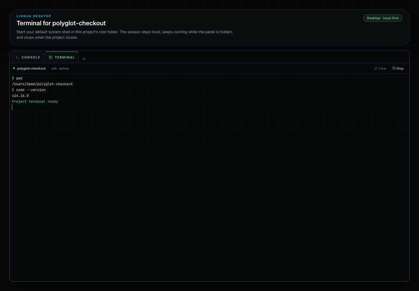 Lingua project terminal running pwd and node --version inside the synthetic polyglot-checkout project